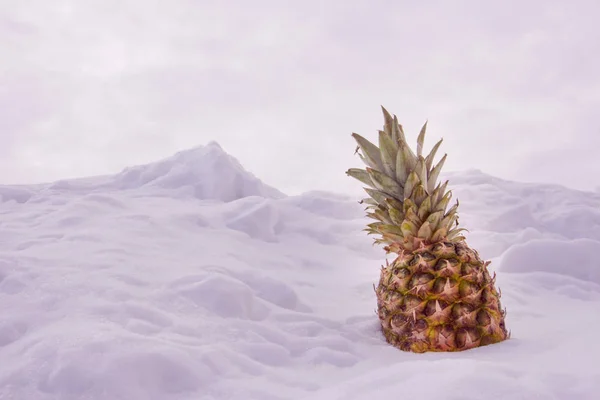 Ananas karda duruyor. parlak güneşli bir günde. Bahar kavramı geliyor. pembe bir arka plan.