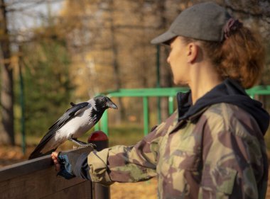 Köpeğin üstündeki Cynoloji uzmanı oyun parkı bir karga eğitiyor