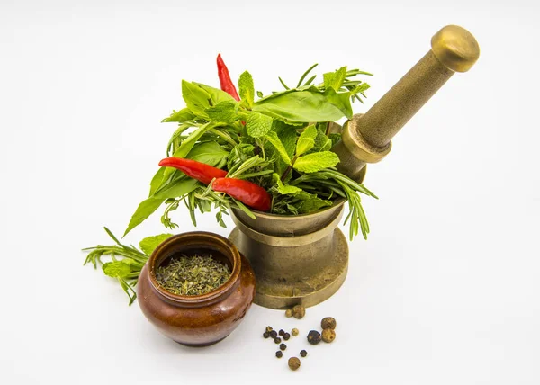 Varm chili paprika, örter och kryddor med mortel och mortelstöt — Stockfoto