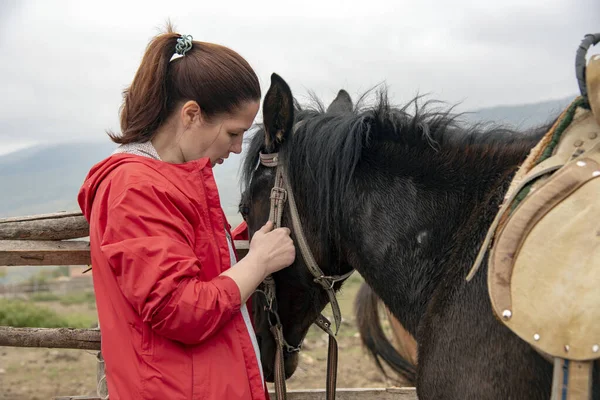 En kvinna smeker försiktigt hästens munkorg i bakgrunden av ett dimmigt bergslandskap. — Stockfoto