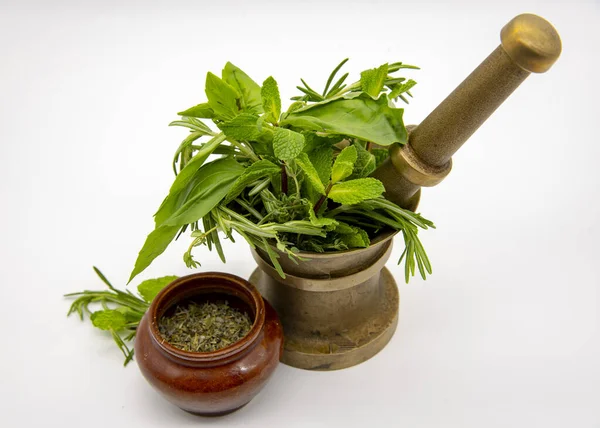 Mortero con hierbas frescas y tazón de cerámica con condimento seco . — Foto de Stock