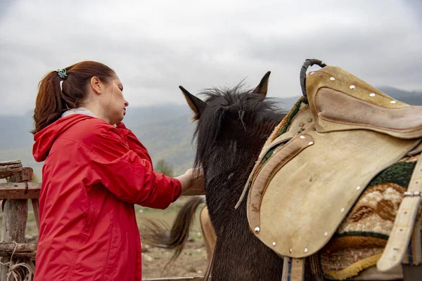 Una mujer acariciando suavemente el hocico del caballo en el fondo de un paisaje montañoso brumoso . — Foto de Stock