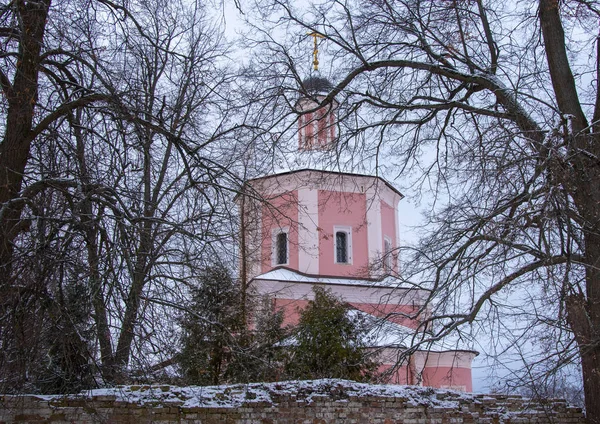 Rosa kyrka på en bakgrund av en dyster vinter himmel. — Stockfoto