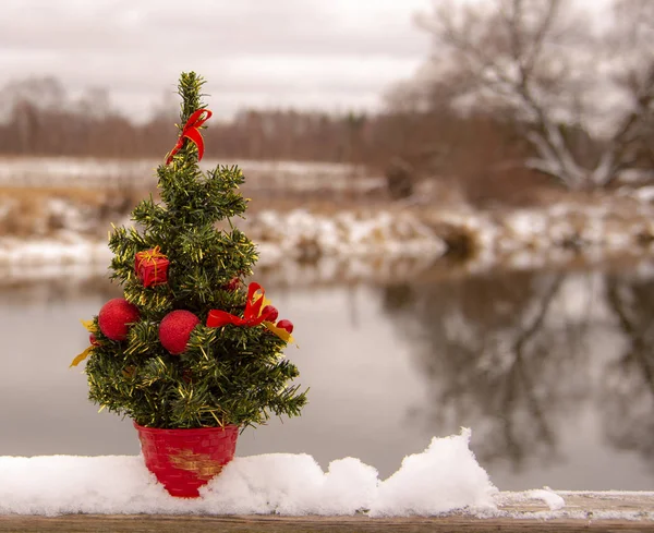 Bulanık doğal bir arka planda Noel ağacı. — Stok fotoğraf