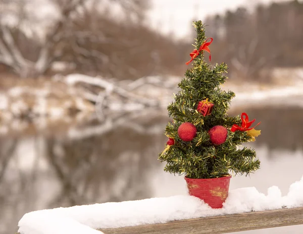 Bulanık doğal bir arka planda Noel ağacı. — Stok fotoğraf