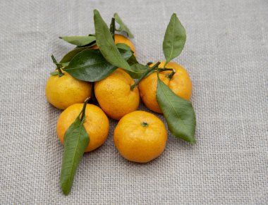  Kaba kumaş üzerinde yeşil yapraklı mandalinalar..