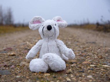 Oyuncak yumuşak fare ıslak bir yolda oturur. 