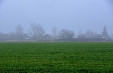  Parlak yeşil çimen tarlasının kenarında yoğun bir sis içinde bir köy..