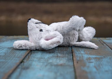 Yumuşak oyuncak fare bir bankta unutulur.