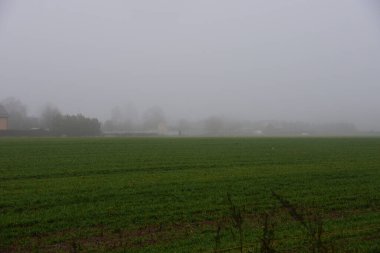 Parlak yeşil çimen tarlasının kenarında yoğun bir sis içinde bir köy..