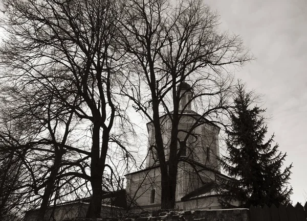 Černobílá grafická krajina. Holé větve stromů a kostel. — Stock fotografie