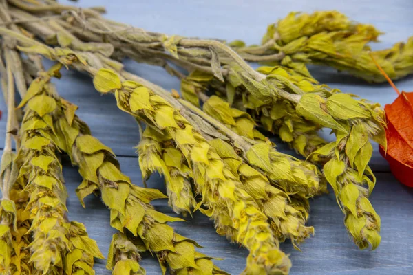 Té de Mursal y physalis naranja brillante sobre un fondo azul . — Foto de Stock