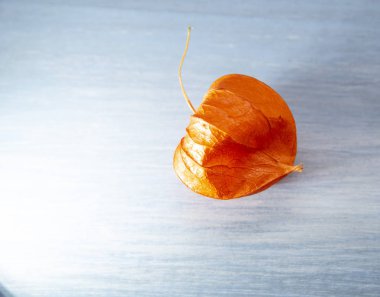 Hassas ahşap arka planda bir sebze..