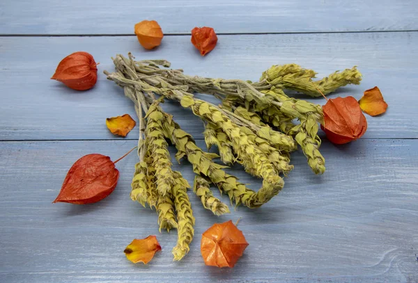 Té de Mursal y physalis naranja brillante sobre un fondo azul . —  Fotos de Stock