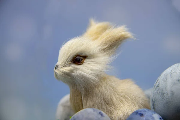 Bir oyuncak tavşan ve mavi bulanık arka planda renkli yumurtalar.. — Stok fotoğraf