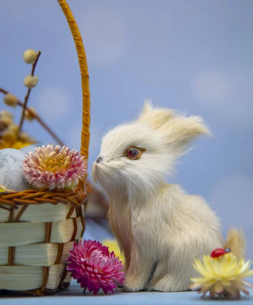 Easter Bunny at the basket with eggs and dried flowers on a blue background. — Stock Photo, Image