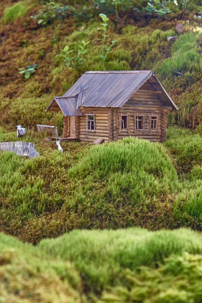 Una Estatuilla Miniatura Una Casa Madera Está Rodeada Por Paisaje —  Fotos de Stock