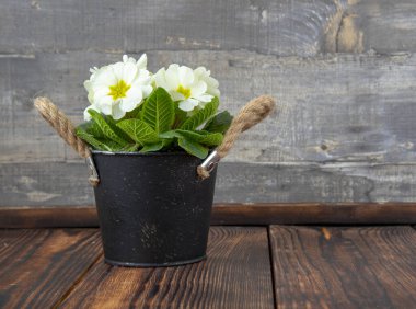 Ahşap zemin üzerinde beyaz kenarlı siyah metal bir kova. Metin ve tasarım için boşluk kopyala