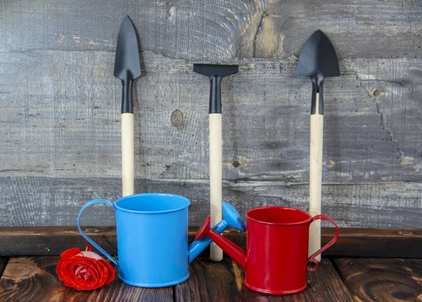 Garden Tools Shovels Rakes Watering Cans Stand Gray Wooden Wall — Stock Photo, Image