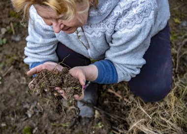An elderly woman is kneeling on the ground and holding a clod of earth in her hands.