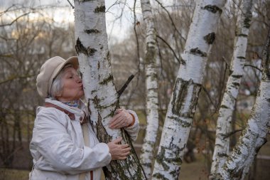 Zarif bereli yaşlı bir kadın parkta yürürken huş ağacına sarılıyor..