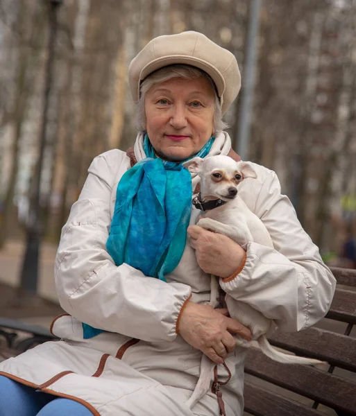 一位优雅的老妇人 带着一只小狗 一个俄罗斯玩具 坐在公园的长椅上 — 图库照片