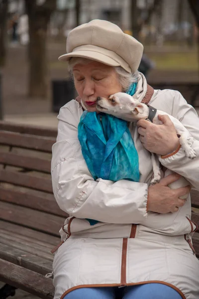 一位优雅的老妇人 带着一只小狗 一个俄罗斯玩具 坐在公园的长椅上 — 图库照片