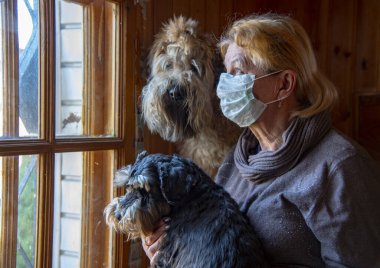 Maskeli yaşlı bir kadın ve iki köpek pencerenin yanındaki tahta merdivende oturup sokağa bakıyorlar. Coronavirüs salgınının konsept fotoğrafı. Covid-2019, evde kal..