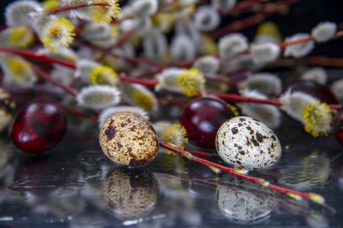 Söğüt dallarının ve renkli yumurtaların Paskalya kompozisyonu cam yüzeye yansıyor. Paskalya kartı.
