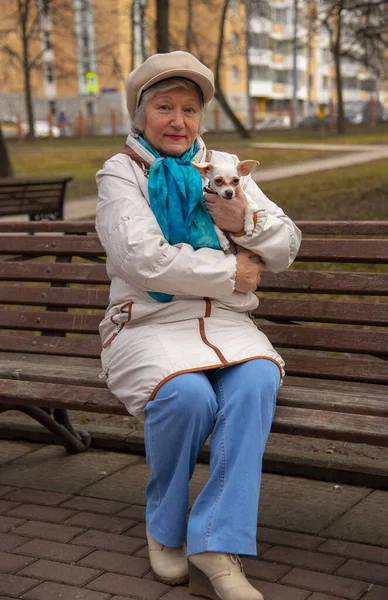 小さな犬 ロシアのおもちゃのテリアを持つ高齢者のエレガントな女性は 公園のベンチに座っている — ストック写真