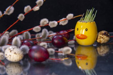 Söğüt dalları, boyanmış yumurtalar ve koyu cam bir tezgahta filizlenmiş buğdaylı seramik bir ördek. Paskalya Kompozisyonu.