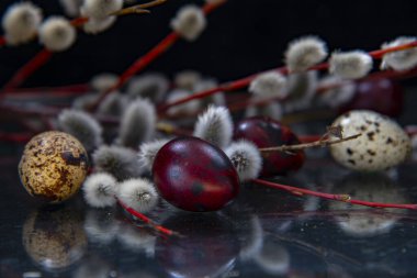 Söğüt dallarının ve renkli yumurtaların Paskalya kompozisyonu cam yüzeye yansıyor. Paskalya kartı.