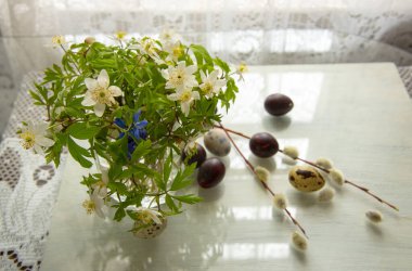 Yumuşak Paskalya natürmortu. Beyaz orman bahar çiçekleri bir bardakta, Paskalya bıldırcın yumurtaları ve söğüt dalları dantel perdelerin arka planında.