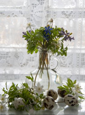 Dikey aydınlık Paskalya natürmortu. Bahar çiçekleri ve dantel perdelerin üzerinde bıldırcın yumurtaları olan cam bir şişe..