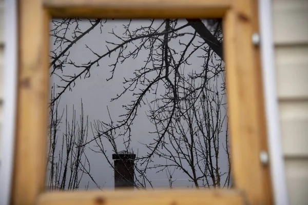 Das Quadratische Glas Des Fensters Spiegelt Die Kahlen Bäume Das — Stockfoto