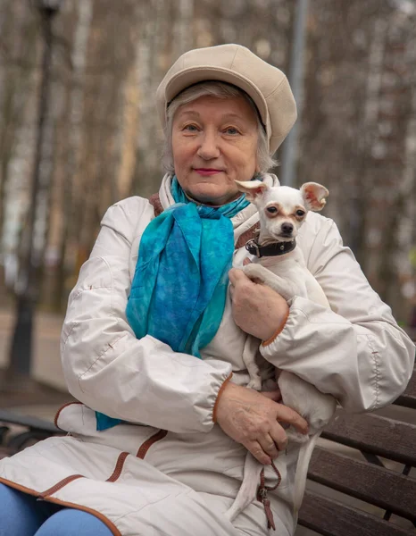 小さな犬 ロシアのおもちゃのテリアは 公園のベンチに高齢者の所有者の膝の上に座っています — ストック写真