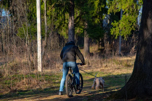 Ein Mann fährt mit dem Fahrrad auf einem Waldweg, gefolgt von einem Hund. — Stockfoto
