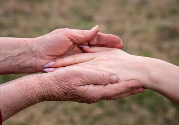 The hand of a young girl in the elderly hands of her grandmother on a blurred background of nature. Conceptual family photo, continuity of generations.
