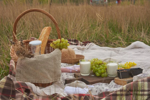 在草地上野餐 一个柳条筐 上面放着牛奶 帽子和一本书 铺在田野干枯的草地上 铺在舒适的毛毯上 — 图库照片