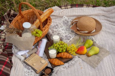 Çimlerin üzerinde piknik. Bir sepet ekmek ve süt, kurabiyeler, kruvasanlar ve yere serilmiş bir kitap..