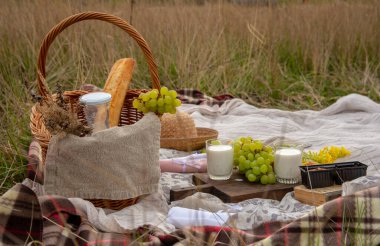Çimlerin üzerinde piknik. Süt, ekmek, meyve, bir şapka ve tarladaki kuru çimlerin üzerine serilmiş battaniye üzerine serili bir kitap..