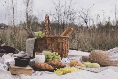 Çimlerin üzerinde piknik. Süt, ekmek, meyve, bir şapka ve tarladaki kuru çimlerin üzerine serilmiş battaniye üzerine serili bir kitap..
