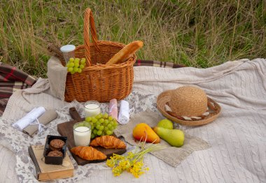 Çimlerin üzerinde piknik. Süt, ekmek, meyve, bir şapka ve tarladaki kuru çimlerin üzerine serilmiş battaniye üzerine serili bir kitap..