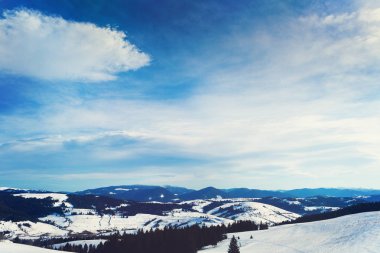 Üzerinde net bir kış günü, hangi kalın sis üzerinde çam ormanları ile kaplı dağ tepeleri rulo üzerinde görülen pitoresk kar kar ile toz kar Vadisi'nden olabilir. Fantastik kış manzarası.