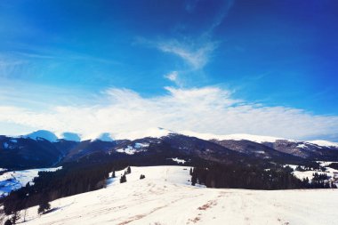 Üzerinde net bir kış günü, hangi kalın sis üzerinde çam ormanları ile kaplı dağ tepeleri rulo üzerinde görülen pitoresk kar kar ile toz kar Vadisi'nden olabilir. Fantastik kış manzarası.