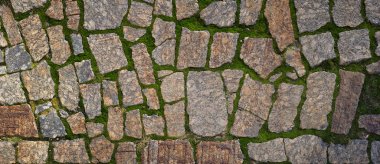 Tuğla yolu, desen doku arasında yeşil yosun yetişir