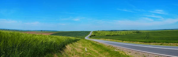 Route sinueuse laissant dans l'horizon au milieu du champ vert de youn — Photo