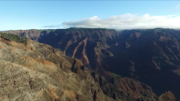 Waimea Canyon Lado Oeste Kauai Grand Canyon Pacífico — Vídeo de Stock
