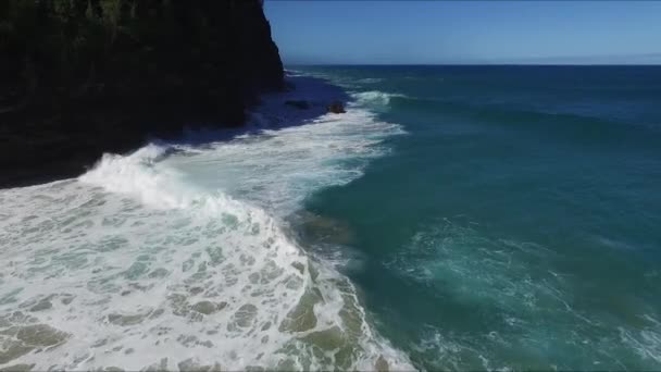 Пляжі Гавайському Острові Кауаї — стокове відео