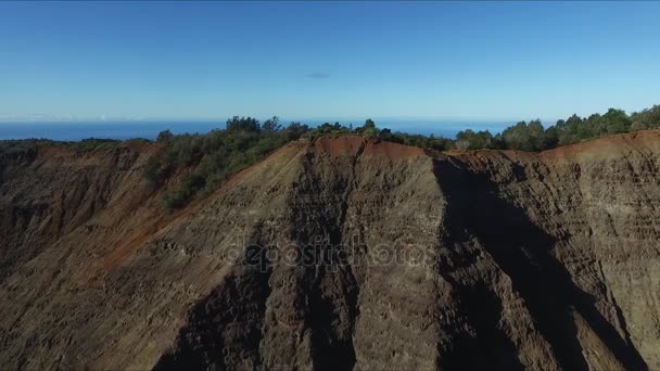 Waimea Canyon Sur West Side Kauai Grand Canyon Pacifique — Video